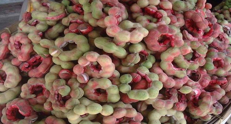 సీమ చింతకాయ తో కలిగే ఆరోగ్య ప్రయోజనాలు